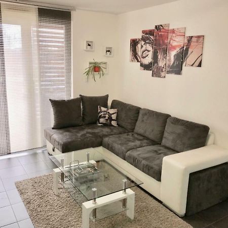 Le T2 Appartement Moderne Avec Terrasse Et Parking Strasbourg Exterior photo